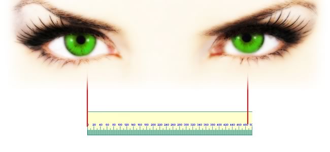 Interpupillary Distance