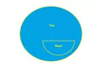 Bifocal Lenses