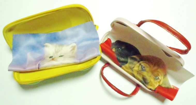 Eyeglass Case Interior